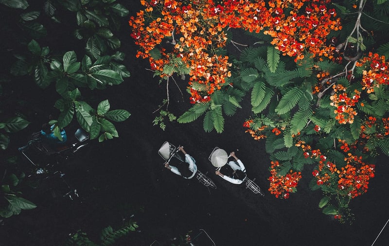 Seasonal Ingredients